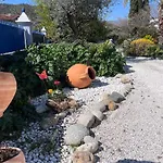 Catalana Del Ginkgo * פראד